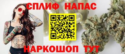 Альфа ПВП Ставрополь