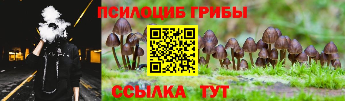 Луга  Галлюциногенные грибы мухоморы  Галлюциногенные грибы ЛСД  Вход с VPN 